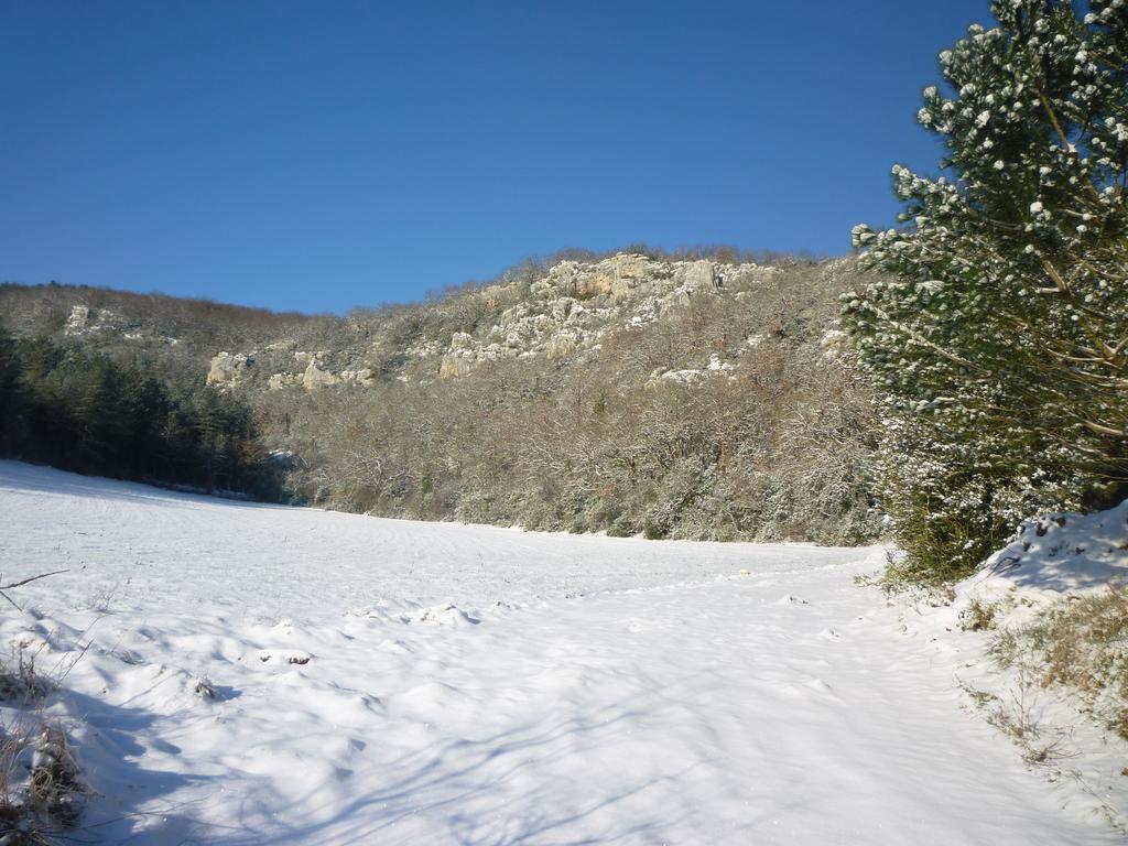 Le Mas De Laval Saint-Cirq-Lapopie Exterior photo